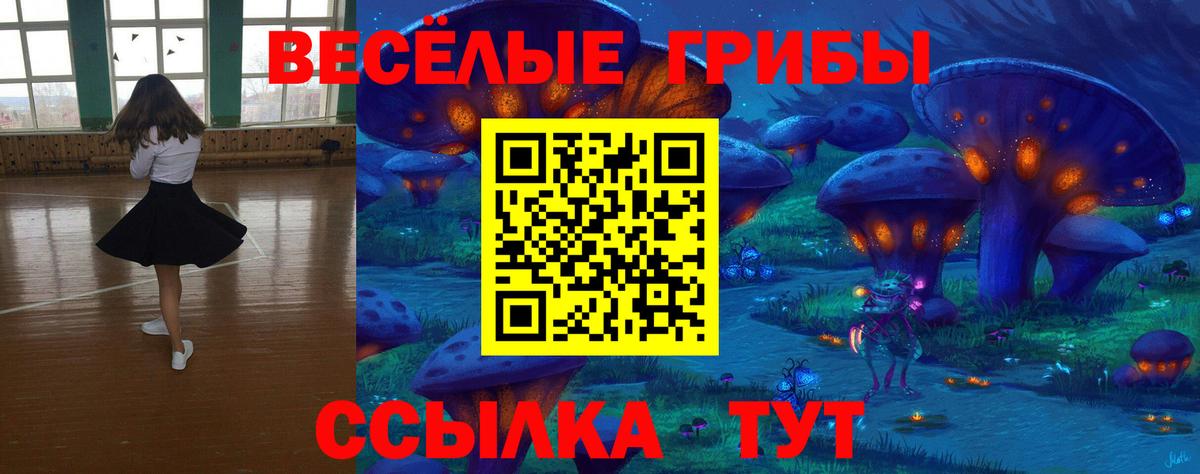 Ростов Великий  Псилоцибиновые грибы Cubensis  Вход с VPN 